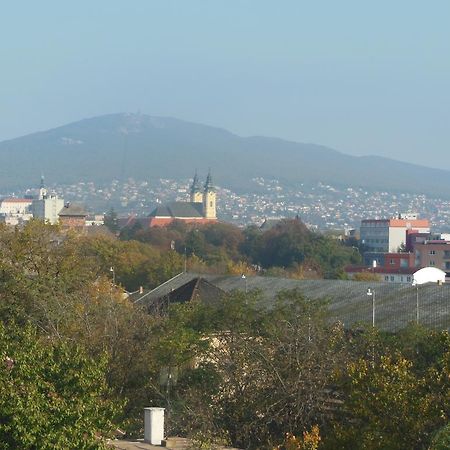 Penzion Premona Nitra Pokoj fotografie
