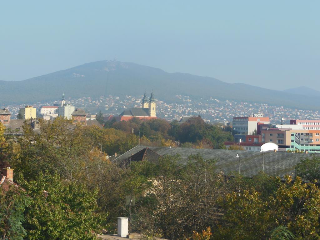 Penzion Premona Nitra Pokoj fotografie
